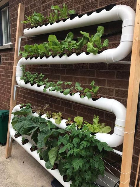 Hydroponic Gardening Diy, Hydroponic Herb Garden, Hydroponic Vegetables, Aquaponics Diy, Hydroponic Garden, Hydroponic Farming, Hydroponics Diy, Diy Herb Garden, Vertical Garden Diy