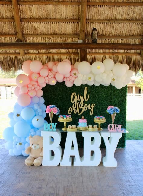 Balloons | Gender Reveal Miami Pool Party Gender Reveal Ideas, Gender Reveal At Park, Park Gender Reveal Party, Park Gender Reveal, Gender Reveal Balloons, Baby Gender Reveal Party, Baby Gender Reveal, Reveal Ideas, Baby Gender