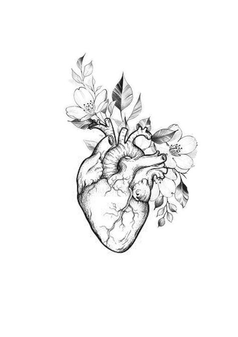 Anatomical Heart Tattoo With Flowers Sleeve, Flowers Growing From Heart Tattoo, Anatomy Tattoo Designs, Anatomical Heart Drawing Flowers, Heart Warrior Tattoo, Heart Drawing With Flowers, Anatomy Heart Tattoo, Anatomical Heart Tattoo With Flowers, Heart With Flowers Tattoo