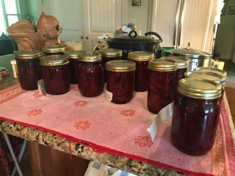 Beet Chutney, Canning Beets, Enamel Dutch Oven, Chutney Recipe, Golden Raisins, Chutney Recipes, Food Preservation, Canning Recipes, Stuffed Green Peppers