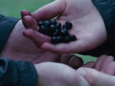 Hunger Games Berries, Nightlock Berries, The Hunger Games 1, Poisonous Berries, The Hunger Games Books, Hunger Games Aesthetic, Hunger Games Dr, Hunger Games 2012, Hunger Games Katniss