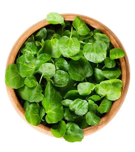 Watercress Benefits, Ginger Side Effects, Beetroot Juice Benefits, Beetroot Benefits, Coconut Benefits, Healthy Kidneys, Leafy Vegetables, Watercress, Herb Seeds