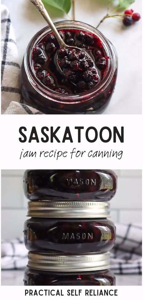 Looking for no pectin jam recipes? We've got you covered! Our Saskatoon Berry Jam recipe is made without pectin and results in a deliciously sweet spread that you can enjoy on toast, in desserts, or as a unique homemade gift. Known also as serviceberry or juneberry jam, this recipe is a must-try for any home canner. Saskatoon Berry Jam, Jam Recipes For Canning, Saskatoon Jam, Saskatoon Recipes, Saskatoon Berry Recipe, Homemade Jam Recipes, Creative Canning, Canning Fruit Recipes, Recipes For Canning