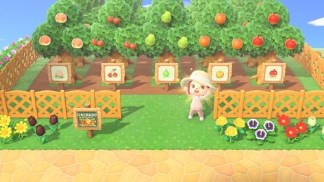 Orchard Acnh Ideas, Acne Orchard, Acnh Sewing Area, Fruit Orchard Animal Crossing, Animal Crossing Fruit Orchard, Acnh Tree Orchard Ideas, Acnh Fruit Orchard Ideas, Potager Animal Crossing New Horizon, Animal Crossing Tree Farm