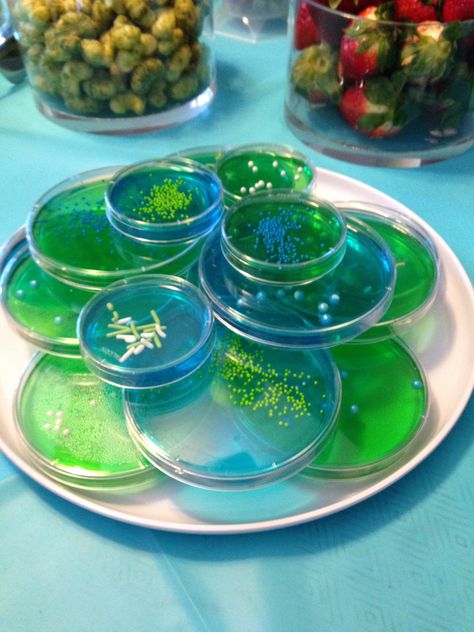 another shot of petri dish jello Laboratory Theme Party, Lab Tech Graduation Party, Dna Themed Party, Biology Party, Lab Themed Party, Jello Petri Dish, Biology Grad Party, Petri Dish Jello Shots, Biology Graduation Party