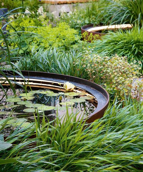 Modern Pond, Garden Pond Ideas, Raised Pond, Ponds For Small Gardens, Garden Pond Design, Garden Water Feature, Pond Ideas, Sensory Garden, Pond Plants