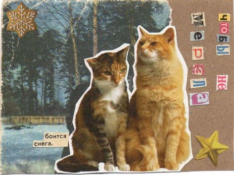 Arte Indie, Arte Sketchbook, Scrapbook Journal, Silly Cats, Collage Art, Art Inspo, Cute Cats, Art Journal, Cool Pictures