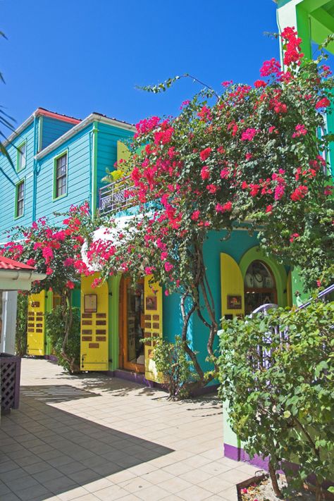 Cruz Bay, St. John St John Usvi, Colorful Buildings, Us Virgin Islands, Bougainvillea, Virgin Islands, Caribbean Islands, Luxury Vacation, Island Life, Pretty Places