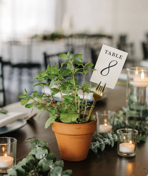 Terracotta Pots Table Decor, Non Traditional Table Numbers, Herbs Decoration Ideas, Terracotta Wedding Inspiration, Botanical Wedding Ceremony, Herbs Table Decoration, Herb Table Setting, Potted Plants Wedding Table, Wedding Terracotta Pots