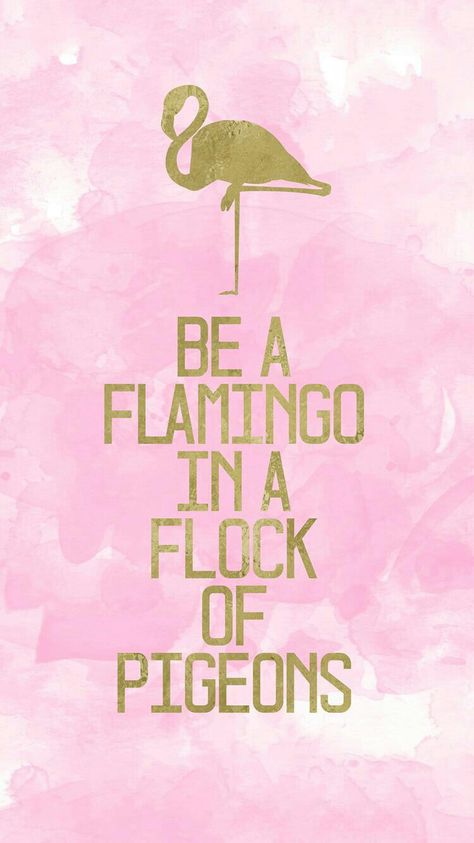 Flamingos Quote, Lawn Flamingos, Be A Flamingo, Flamingo Theme, Flamingo Art, Pink Quotes, Starting A Blog, Phone Background, Beauty Quotes