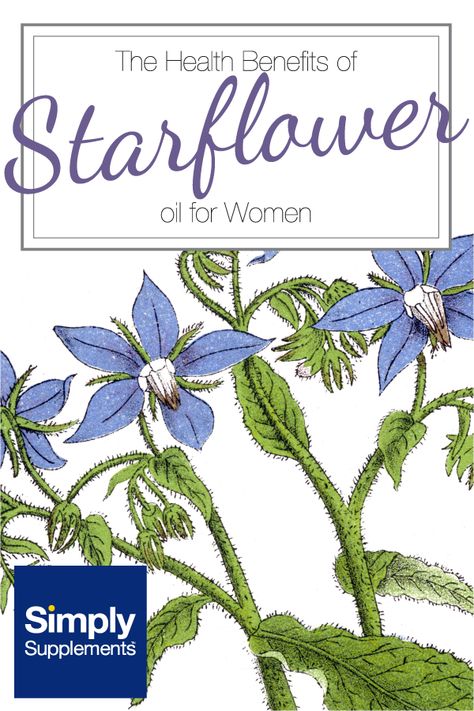 Starflower Oil Benefits, Borage Oil Benefits, Medicinal Herbs Remedies, Herbs Remedies, Medical Herbs, Borage Oil, Primrose Oil, Infused Oils, Oil Benefits