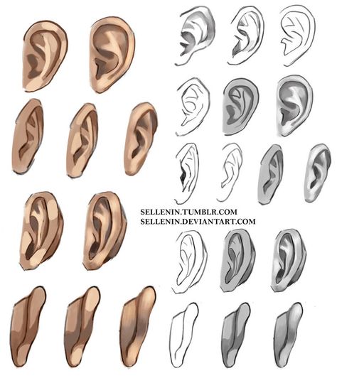 about time to remember how to draw ears  Tumblr Facebook  Other references by me: Ears Reference, How To Draw Ears, Art Learning, Human Ear, Ear Art, 얼굴 그리기, Drawing Heads, Anatomy Drawing, Digital Painting Tutorials