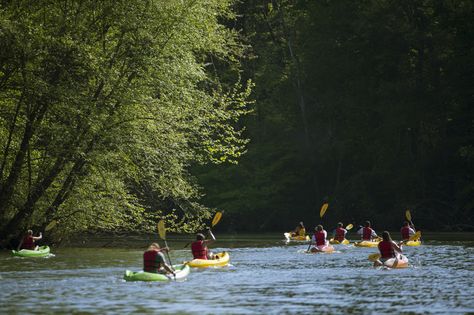 Catawba River Blueway - Lake Wylie Section Kentucky Red River Gorge, Bridge Over The River Kwai, Dawki River, Red River Gorge Kentucky Kayaking, Lake Wylie, Cycling Events, Rough River Lake Kentucky, Blue River, Kayak Trip