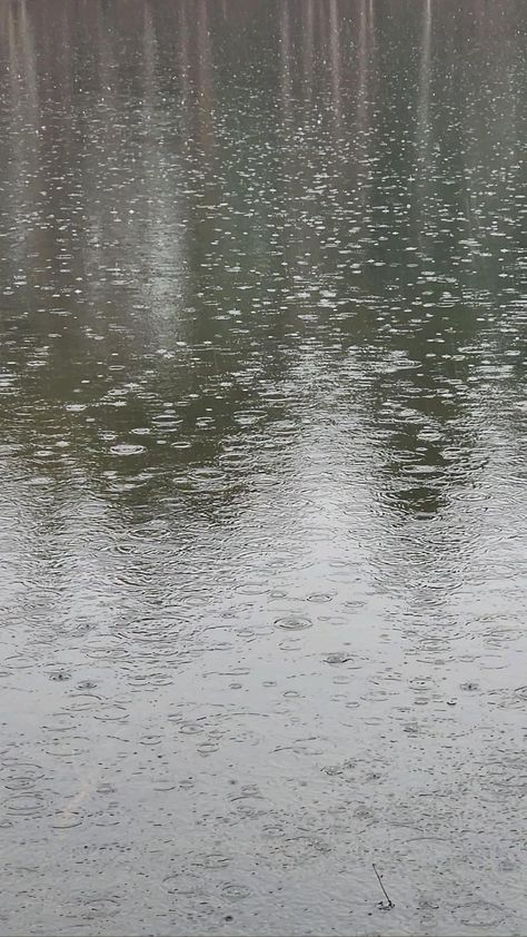 Peaceful rain and birdsong Rainy Day Aesthetic Snap, Fake Rain Story, Raning Morning Video, Rain In Morning, Rainy Day Snap Story, Morning Rain Aesthetic, Rainy Weather Video, Rainy Spring Aesthetic, Aesthetic Rain Video