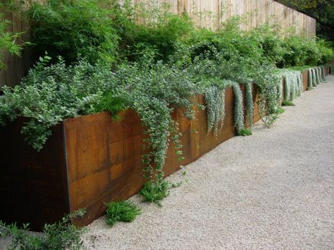 cor-ten planter Landscape Borders, Corten Steel Planters, Landscaping Retaining Walls, Garden Shrubs, Have Inspiration, Backyard Fences, Garden Fencing, Back Garden, Garden Fence