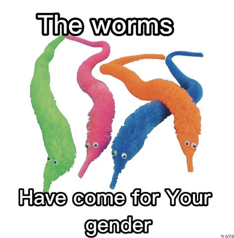 Worms Aesthetic, Fuzzy Worms, Worms On A String, Worm On String, Worm On A String, I Need Jesus, Lgbtq Funny, Gay Memes, Silly Goofy