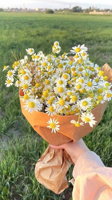 Flower Boquet, Good Morning Happy Sunday, Boquette Flowers, Nothing But Flowers, Pablo Neruda, Flower Therapy, Beautiful Bouquet Of Flowers, Good Morning Happy, Spring Aesthetic