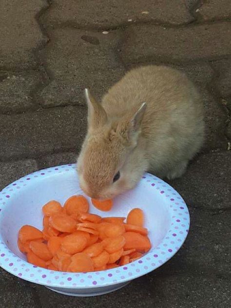 Lunch time :-! Carrot Aesthetic, Lunch Time