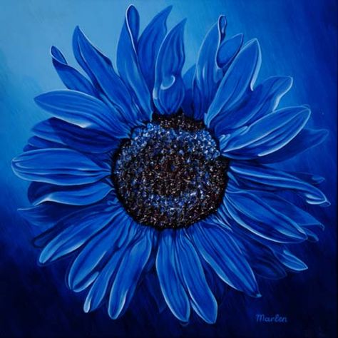 blue sunflower art Blue Sunflower Painting, Blue Sunflower Tattoo, Blue Sunflower Wallpaper, Funky Library, Blue Flower Pictures, Chia Drink, Growing Sunflowers, Blue Sunflower, Acrylic Tutorials