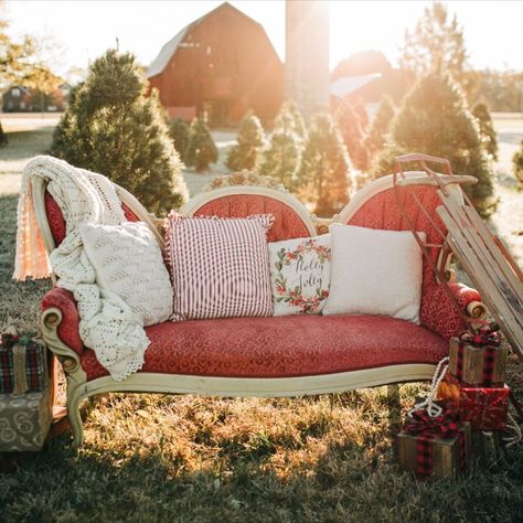 2021 Christmas Minis for Pawtrait fundraiser backdrop and location idea! Outdoor Christmas Mini Sessions Set Up, Christmas Mini Photoshoot, Mini Backdrop, Christmas Mini Sessions Outdoor, Outdoor Christmas Photos, Farm Backdrop, Christmas Mini Shoot, Mini Photoshoot, Photo Backdrop Christmas