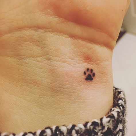 Small Paw Print Tattoo Finger, Small Tattoos Pets, Simple Pawprint Tattoo, Tiny Dog Print Tattoo, Small Dog Silhouette Tattoo, Tiny Cat Paw Print Tattoo, Mini Dog Paw Tattoo, Small Cat Print Tattoo, Tiny Dog Paw Print Tattoo