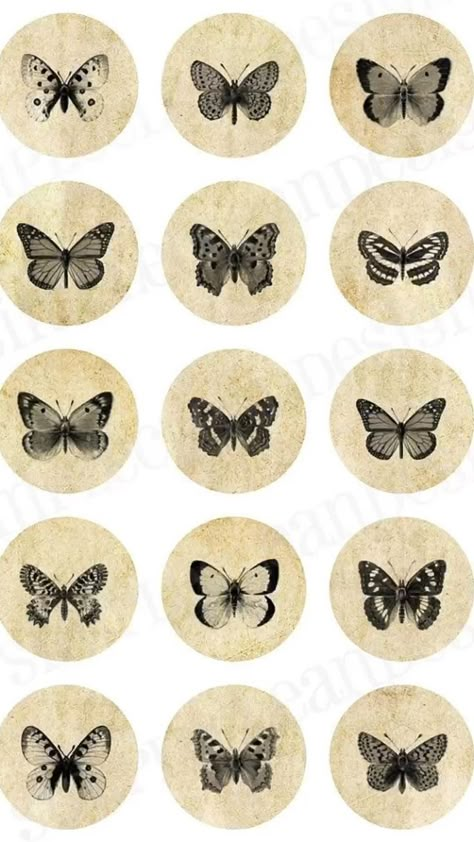 Pin by swtmlnds -a on Idea Pins by you in 2022 | Vintage butterfly tattoo, Butterfly tattoo designs, Small tattoos simple Vintage Butterfly Tattoo, Tattoos Symbols, Symbols Tattoos, Tattoos Rose, Miami Ink, طابع بريدي, Tattoo Butterfly, Small Tattoos Simple, Harry Potter Tattoos