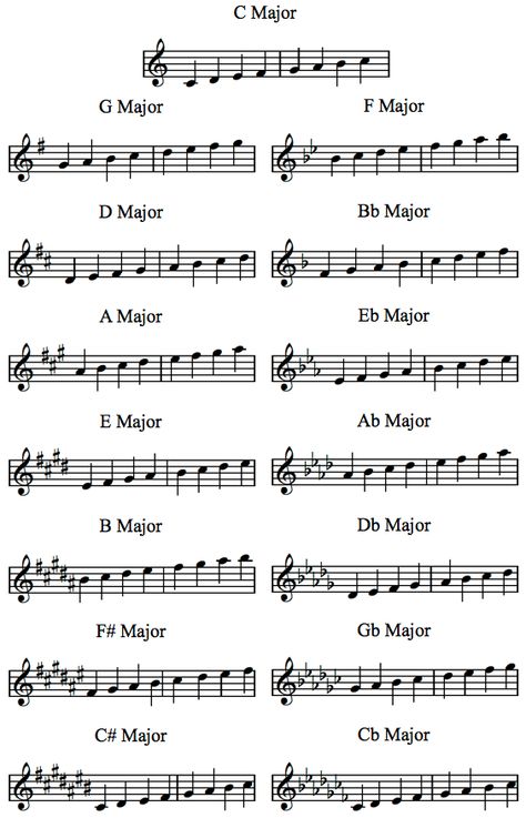 Music Basics, Music Theory Piano, Beginner Piano Music, Piano Scales, Learn Music Theory, Music Theory Lessons, Read Music, Piano Music Lessons, Music Theory Guitar