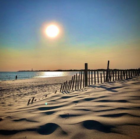 I spy with my little eye.... 👀 The Cape May lighthouse! Do you see it? 📸: @sceniccapemay Shore Photography, Cape May Lighthouse, Cape May, I Spy, Jersey Shore, Looney Tunes, See It, Lighthouse, Cape