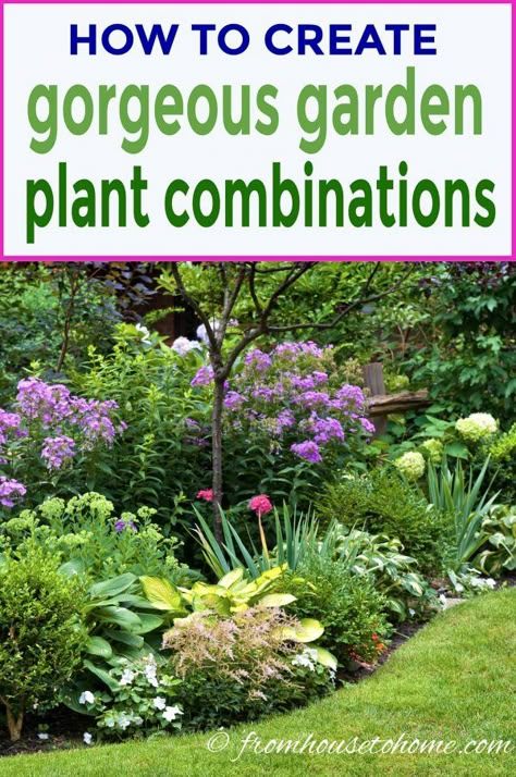 Garden Wallpaper, Purple Garden, Have Inspiration, Garden Yard Ideas, Plant Combinations, Garden Borders, Front Yard Landscaping Design, Perennial Garden, Garden Bed