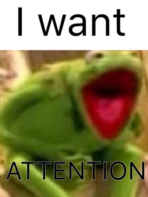 Attention Mood Pics, I Want Attention Funny, Give Me Attention Cute, I Want Attention Reaction Pic, I Need Attention Reaction Pic, Give Me Attention Funny, I Need Attention Quotes Funny, Attention Please Meme, Attention Reaction Pic