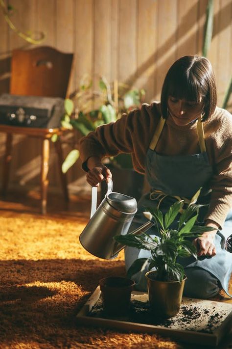 Gardening Photoshoot, Woman Watering Plants, Photography Ideas At Home, Gardening Outfit, Plant Aesthetic, Photoshoot Themes, Glass Garden, Garden Shop, Character Building