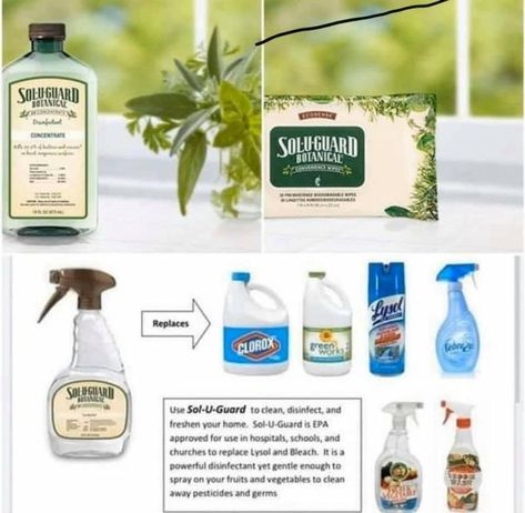 Did you know? One single bacteria cell can multiply into over a billion in just 24 hours. This EPA-registered botanical disinfectant, kills over 99.9% of common household germs, bacteria & viruses -We love our Sol-U-Guard 🧡 Bacteria Cell, Healthy Lifestyle Quotes, Stomach Fat, Clean Laundry, Health Wellness, Fruits And Vegetables, Did You Know, Healthy Lifestyle, Health And Wellness