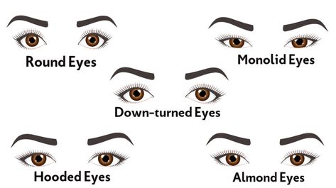 Eyeliner For Round Eyes, How To Draw Eyeliner, Makeup For Round Eyes, Eyeliner For Almond Eyes, Eyes Shape, Subtle Smokey Eye, Almond Eye Makeup, Dramatic Eyeliner, Monolid Eye Makeup