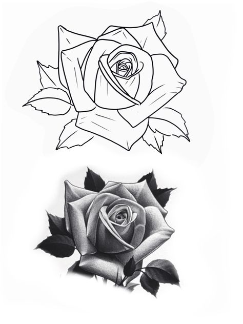 Tattoos Practice, Rose Stencil Tattoo, Rose Outline Drawing, Rose Heart Tattoo, Prison Drawings, Gotik Tattoo, Rose Tattoo Stencil, Realistic Rose Tattoo, Rose Outline