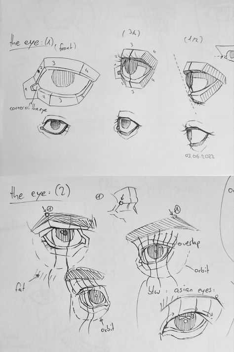 Eyes In Perspective Drawing, Eye How To Draw, Eyes Structure Drawing, Planes Of The Eye, Eye Study Drawing Anatomy, How To Draw Eyes From Different Angles, Eye Different Angles, Eye Placement Drawing, Eyes Perspective Drawing