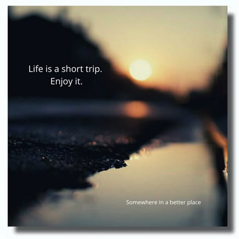 Its Only A Short Trip Enjoy It Quote, It's Only A Short Trip Enjoy It, Life Is A Short Trip Quote, Life Is Short Enjoy It, Enjoy Life Quotes Short, Life Is Short Quotes, Life Is A Trip, Life Is Short Live It, Cute Qoutes