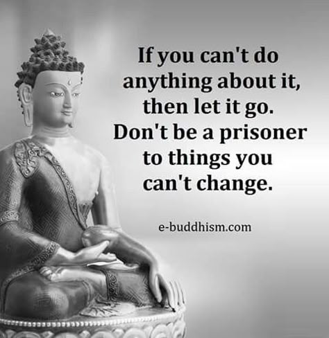 Monday Reminder, Buddhist Wisdom, Tiny Buddha, Buddha Quotes Inspirational, Buddhism Quote, Buddhist Quotes, Buddha Teachings, Buddha Meditation, Buddha Quote