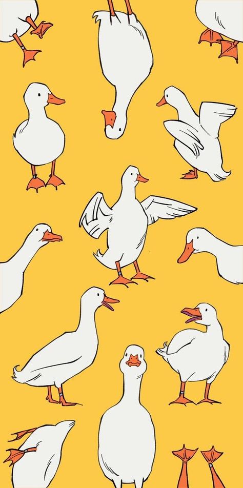 Goose Illustration Drawings, Ducks Drawing Cute, Duck Drawings Cute, Duck Drawing Reference, Silly Duck Drawing, How To Draw Ducks, Buff Duck Drawing, How To Draw Duck, Duck Illustration Cute