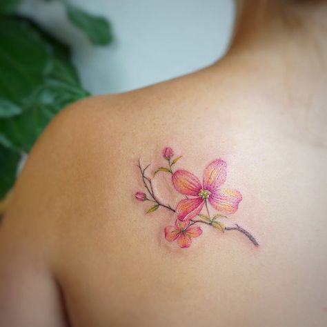 Image may contain: one or more people and closeup Dogwood Flower Tattoo, Dogwood Tattoo, Dogwood Flower Tattoos, Watercolor Tattoo Flower, Dogwood Flower, Pink Dogwood, Tattoo People, Tree Tattoo Designs, Blossom Tattoo