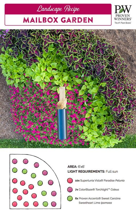 Getting the mail will no longer be a chore when the mailbox is surrounded by a beautiful garden! Check out this easy to install DIY mailbox garden plan for a planting diagram and shopping list. The bright pinks, greens and purples planted in arcs around your mailbox will be sure to put a smile on your (and your mailman's) face all season long! Cluster Mailbox Landscaping, Year Round Mailbox Landscaping, Mailbox Garden Plan, Mailbox Garden Full Sun, Flowers Around Mailbox Ideas Curb Appeal, Easy Mailbox Landscaping, Mailbox Planting Ideas, Plants Around Mailbox Post, Flowers Around Mailbox Ideas