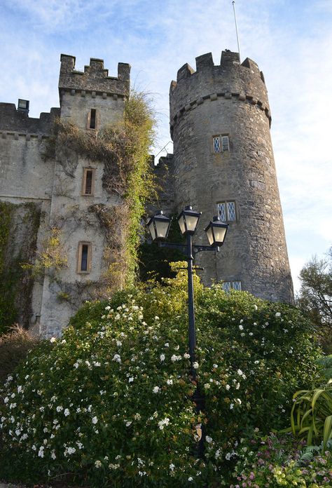 Malahide Castle, Ireland (by John O’ Beirne) Malahide Castle, Ireland Aesthetic, Castle Ireland, Ireland Dublin, Castles In Ireland, Castle Mansion, Irish Culture, Fairytale Photography, Manor Houses