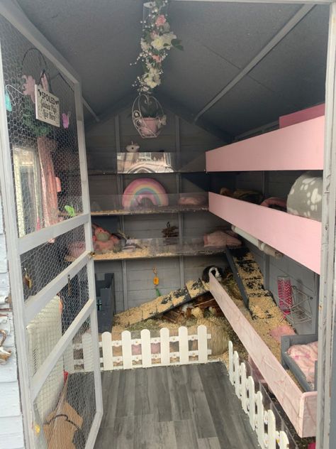 Updated Guinea Pig Shed, unicorns & rainbows Guinea Pig Shed Ideas, Guinea Pig Room Ideas, Guinea Pig Cage Ideas Indoor, Rabbit Shed Ideas, Bunny Sheds, Indoor Guinea Pig Cage, Rabbit Shed, Guinea Pig Run, Diy Guinea Pig Cage