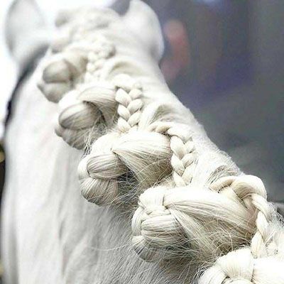 Classy Equestrian, Mane Braids, Horse Braids, Horse Mane Braids, Plaits Braids, Horse Hair Braiding, Horse Braiding, Tail Braids, Horse Mane