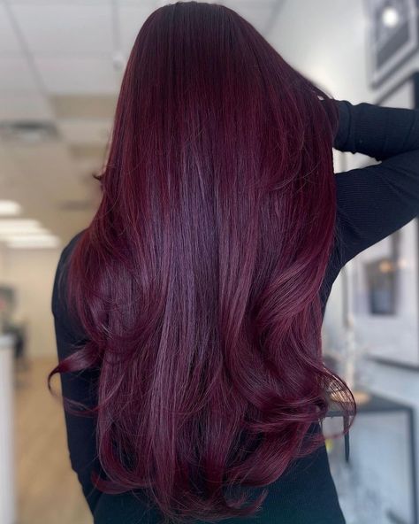 Deep Red Violet Hair Color, Burgundy Violet Hair, Dark Fuschia Hair, Dark Violet Red Hair, Deep Cherry Red Hair Burgundy, Dark Red Violet Hair, Cherry Wine Hair Color Burgundy, Deep Cherry Red Hair, Plum Red Hair