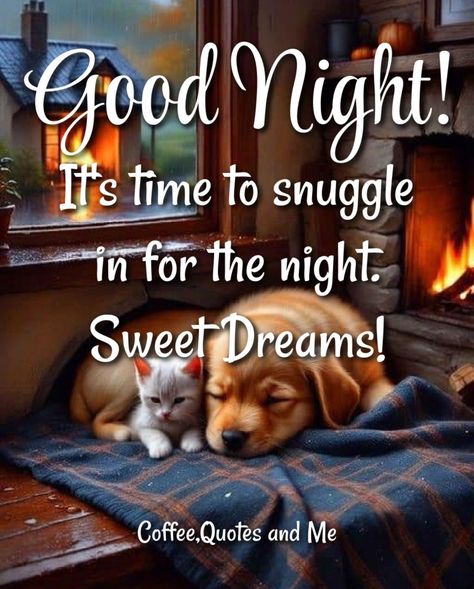 It's Time To Snuggle In For The Night. Good Night & Sweet Dreams Pictures, Photos, and Images for Facebook, Tumblr, Pinterest, and Twitter Funny Good Night Pictures, Sweet Dreams Pictures, Dreams Pictures, Funny Good Night Images, Beautiful Good Night Messages, Sweet Good Night Messages, Good Night Blessings Quotes, Good Night Qoutes, Good Night Friends Images