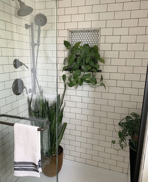 Propagate Pothos, Pothos In Water, Country Bathroom Designs, Garden On A Budget, Low Maintenance Indoor Plants, Easy Care Houseplants, French Country Bathroom, Bathroom Farmhouse, Floor Bathroom