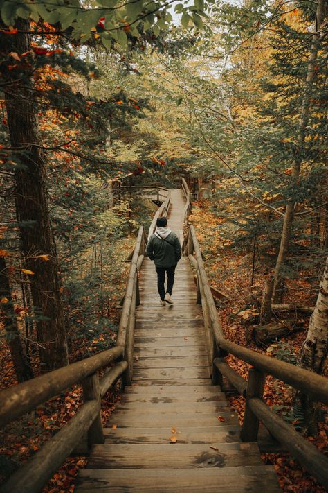 #newhampshire #forest #autumnvibes #autumn Men’s Fall Photoshoot, Fall Men Photoshoot, Fall Photoshoot Men, Male Photography Poses Outdoors, Pnw Photoshoot, Man In Forest, Pnw Photography, Traveling Photography, Cute Photo Poses