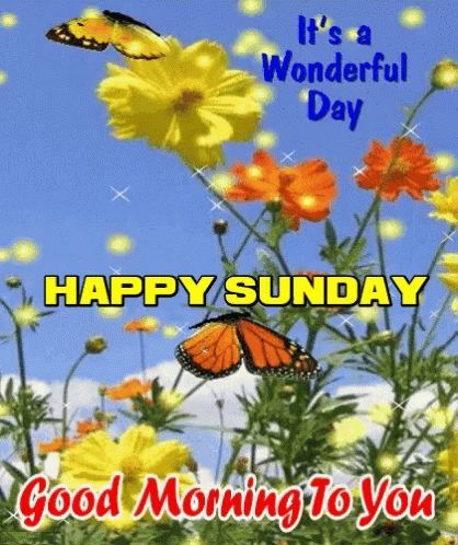 Happy Sunday Good Morning GIF - HappySunday GoodMorning SundayMorning - Discover & Share GIFs Sunday Gif, Good Morning Gifs, Happy Sunday Images, Latest Good Morning Images, Happy Sunday Morning, Special Good Morning, Sunday Images, Good Morning Beautiful Gif, Good Morning Happy Sunday