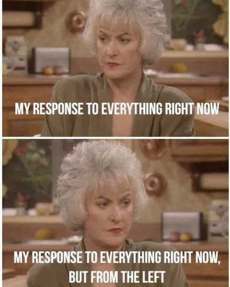 Golden Girls Humor, Golden Girls Quotes, Dorothy Zbornak, At The Mall, Girl Memes, Teen Love, Betty White, She Girl, Judge Me