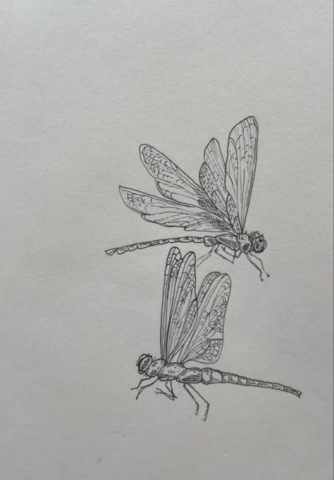 Dragonfly Profile Tattoo, Flying Dragonfly Tattoo, Dragonfly Drawing Tattoo, Dragonfly Reference, Dragonflies Tattoo, Dragonfly Illustration, Dragonfly Drawing, Fly Drawing, Drawing Tattoos